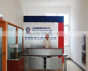 Ace Gifts & Crafts (Ningbo) Co., Ltd. company overview - view 2 thumbnail