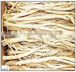 Astragalus Membranaceus thumbnail-1