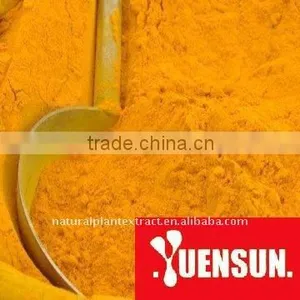 Turmeric Extract Bright Yellow Powder thumbnail-1