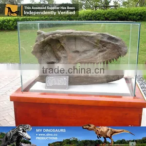 MY Dino-C085 Resin Dinosaur Head Skeleton thumbnail-4