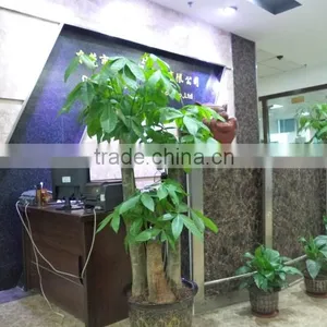 Aoxi Fashion Garment Limited Company (Dongguan) company overview - view 2 thumbnail
