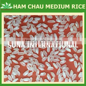 LONG GRAIN RICE 25% BROKEN - HIGH QUALITY - VINARICE.VN thumbnail-5