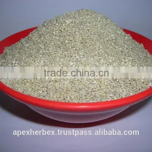 Quinoa / Chenopodium Quinoa / Quinoa Grain /Quinoa Bulk Grain thumbnail-1