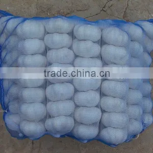 2016 Crop Fresh Garlic thumbnail-5