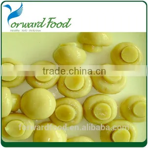 New Crop Mushroom Canned in Whole or Pieces thumbnail-3