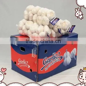 China Garlic Price 2016 thumbnail-1