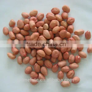 Shandong Big Size Blanched Red Skin Peanut Kernels thumbnail-2