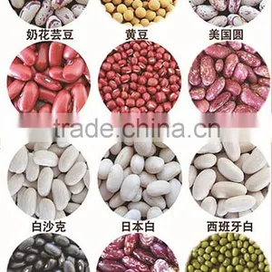 Broad Green Beans With Marketing Price for Hot Sale With HACCP&ISO thumbnail-1