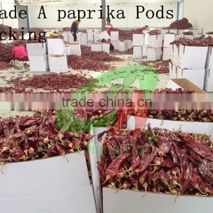 New Chinese Dry Paprika Pods thumbnail-1