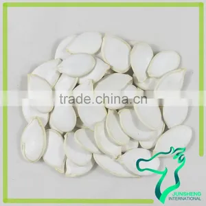 Bulk Chinese Snow White Pumpkin Seeds 2016 Crop thumbnail-4