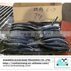 Frozen Hard Tail Scad Fish thumbnail-5