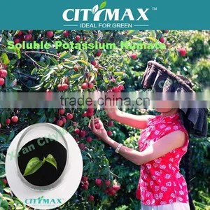 100% Natural Green Water Soluble Bulk Organic Fertilizer High in Potassium thumbnail-1