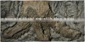 PU ROOT BACKGROUND BOARD thumbnail-1