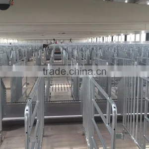 Hot-dip Galvanized Pig Gestation Stall thumbnail-1