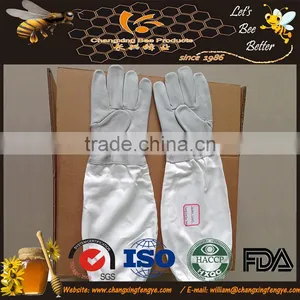 Best Selling Bee Tools! Factory Suppiler the Popular Beekeeping Tools Beekeeping Gloves for Sell thumbnail-1