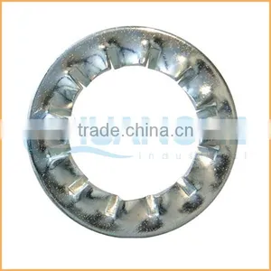 China Professional Manufacturing Zinc Plated Washer Square Serrated Lock Washer thumbnail-2