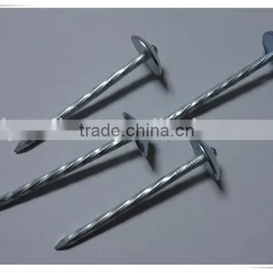 Large Head Roofing Nail China Nail Factory Price From China thumbnail-4