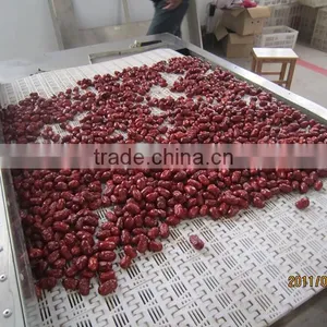 Industrial Tunnel Type Microwave Red Dates Dryer & Sterilizer thumbnail-2