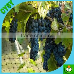 HDPE Cage Culture Anti-bird Cover Fishing Net thumbnail-6