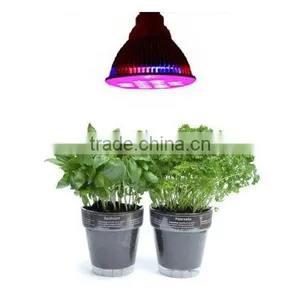 Light for Plant Growth and Hothouse Garden From Hydroponic Gardening Supplies thumbnail-1