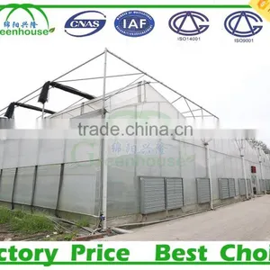 Commercial Greenhouses for Sale thumbnail-6