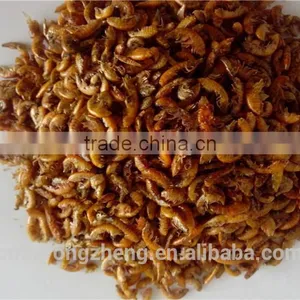 Fish Food High Protein Freeze 1 cm Dried Gammarus;gammarus for Fish thumbnail-2