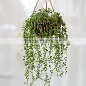 Artificial Grass for Decoration,for Hanging Grass Basket Decoration thumbnail-3