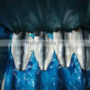 Frozen Mackerels thumbnail-1