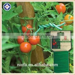 Factory Prices Garden Tools of Garden Plant Twist Tie for Tree thumbnail-1