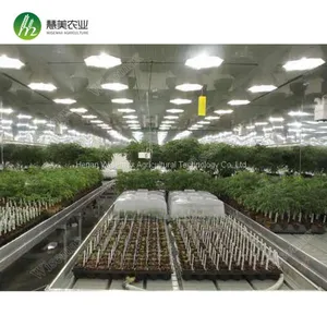 Aluminum Frame With Hot Galvanized Greenhouse Ebb and Flow Rolling Bench thumbnail-1