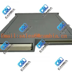 ICS T8424 120V ac Digital Input thumbnail-3