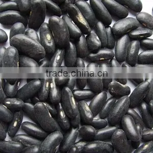 Black Kidney Bean thumbnail-2