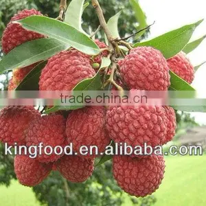 IQF Sweet Lychee thumbnail-1