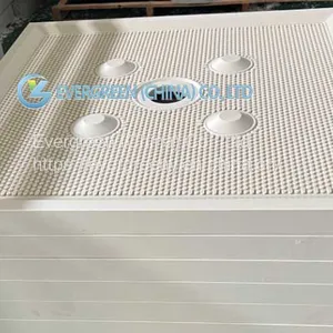 PPH Chamber Plates thumbnail-1