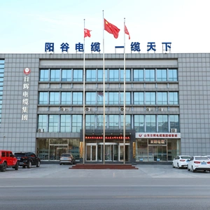 Shandong Rihui Cable Group Co., Ltd company overview - view 1 thumbnail