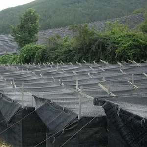All Sizes Available 75% Black Sun Shade Net With High Quality thumbnail-6