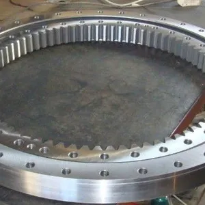 Slewing Bearing thumbnail-1