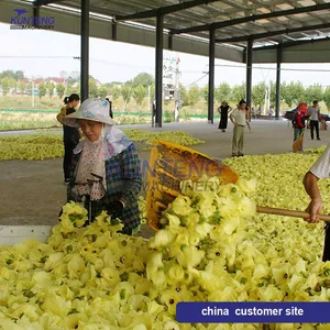High Efficiency Bread Crumbs Garcinia Cambogia Day Lily Golden Chrysanthemum Mesh Belt Dryer thumbnail-2