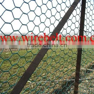 Hexagonal Wire Netting thumbnail-1