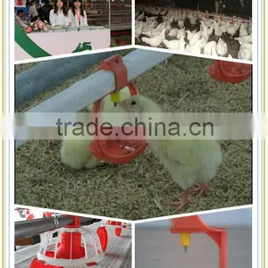 Broiler Farm House and Equipments thumbnail-2