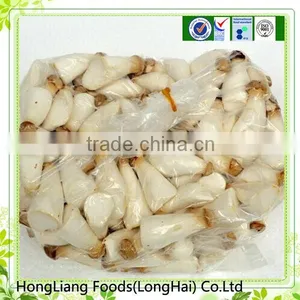 2014 Small Size Fresh Pleurotus Eryngii thumbnail-1