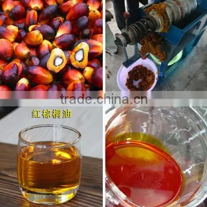 Palm Oil Production Machine Provided by the Most Famous Bran From China thumbnail-1