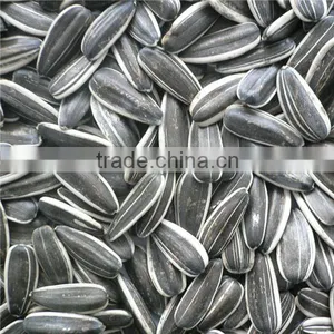 5009 Sunflower Seeds/sunflower Seeds in Shell thumbnail-1