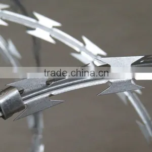 Electro-galvanized Razor Wire/razor Barbed Wire Mesh Fence With Surprise Price thumbnail-5