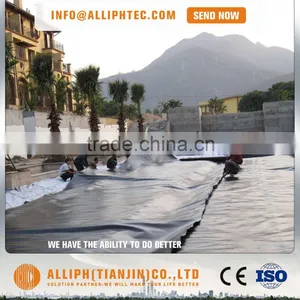 Hot Sales Fish Farm Pond Liner Hdpe Geomembrane thumbnail-2