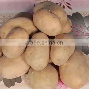 Fresh Potatoes thumbnail-1