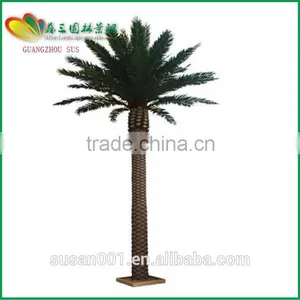 Wholesale Artifical Decorative Date Palm Tree for Garden thumbnail-6