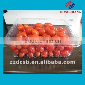 PET Clear Plastic Frozen Food Tray thumbnail-1