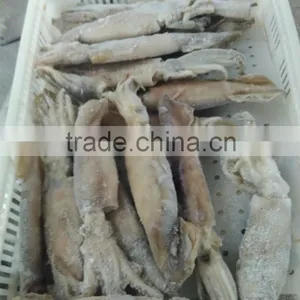 Illex Squid W/R thumbnail-4