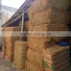 Coconut Fiber QQ: 2598494113 thumbnail-3
